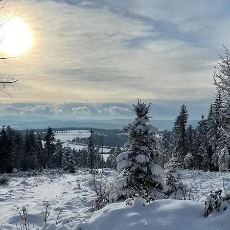 W Gorach Z Jacuzzi, Balia I Basenem